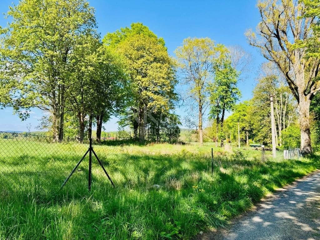 Prodej pozemku 3100 m2, Tři Sekery – náhled fotky 6
