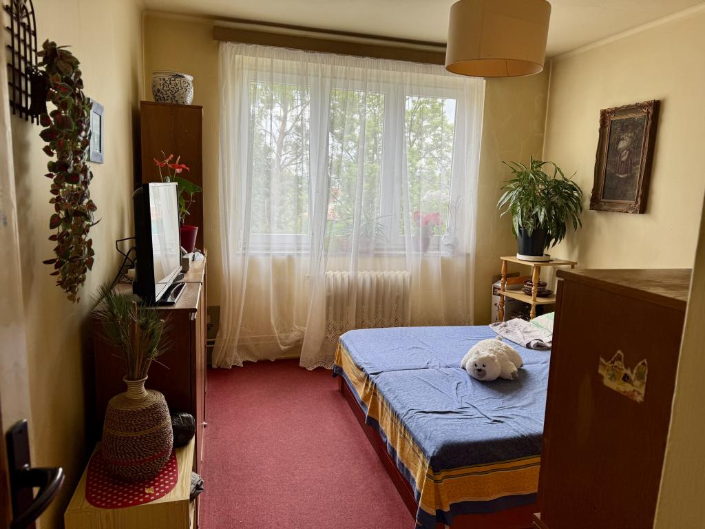 Prodej bytu 3+1 74 m2