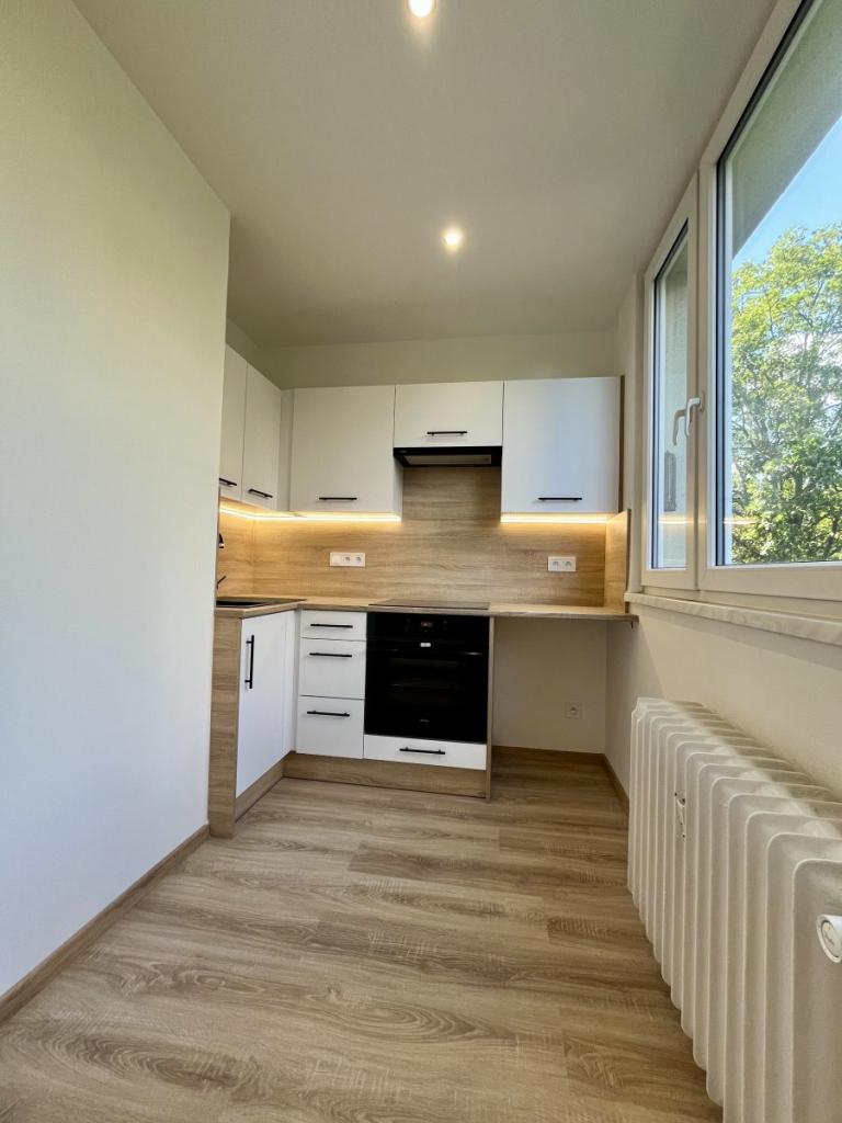 Pronájem bytu 2+1 55 m2