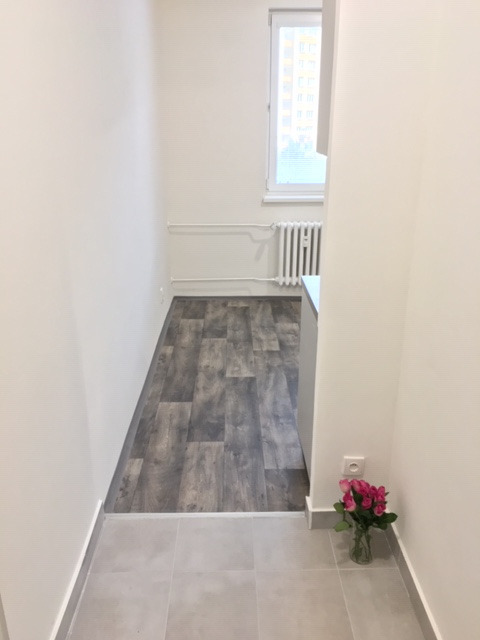 Pronájem bytu 1+1 36 m2