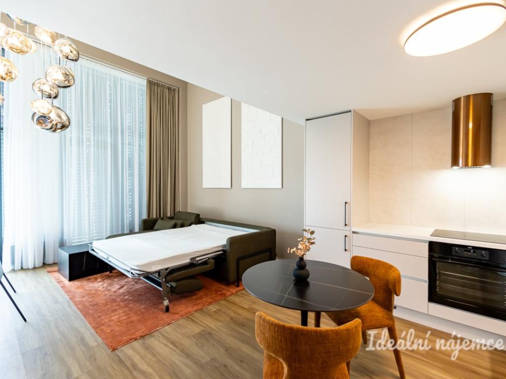 Pronájem bytu 1+kk 43 m2
