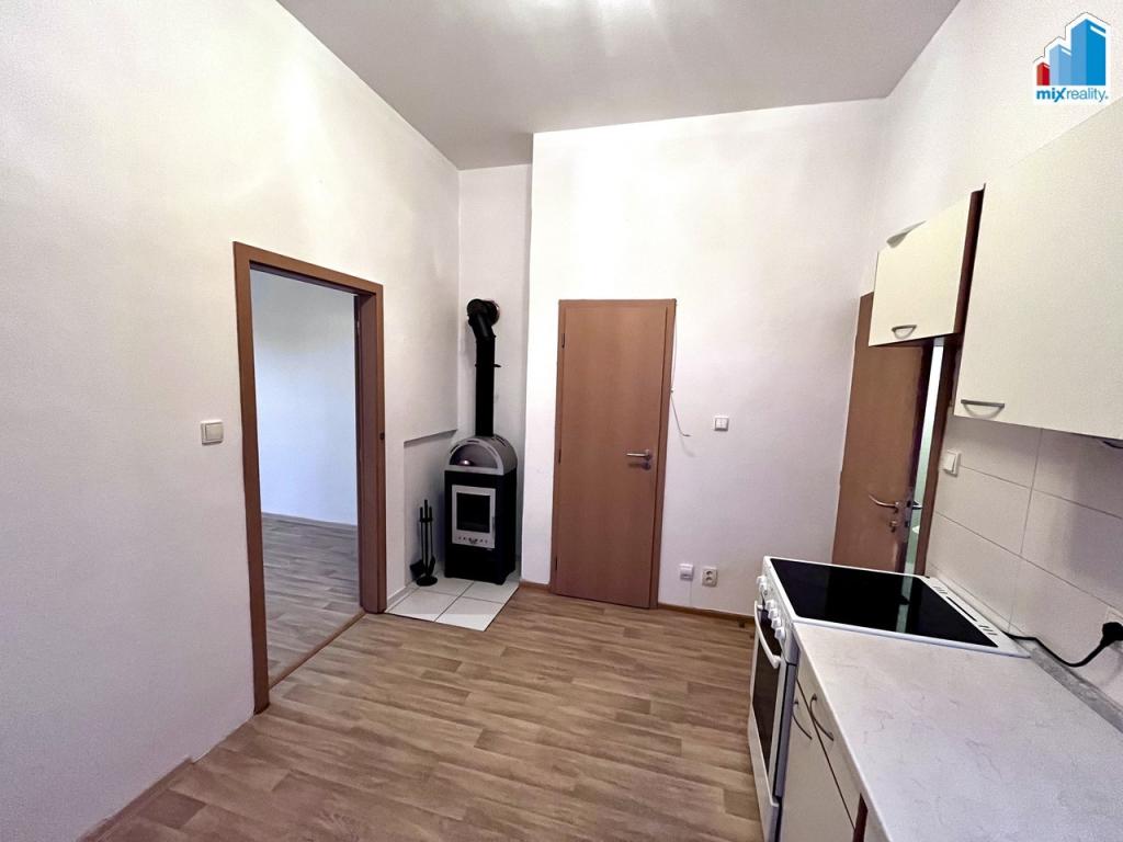 Pronájem bytu 1+1 45 m2