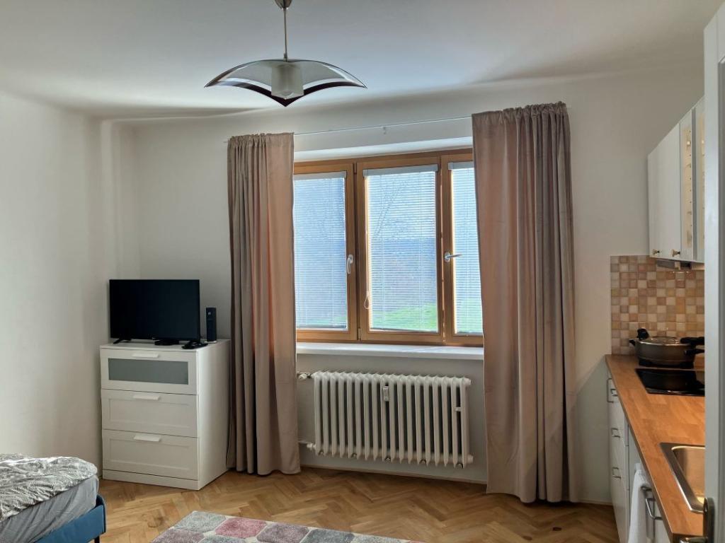 Pronájem bytu 1+kk 18 m2