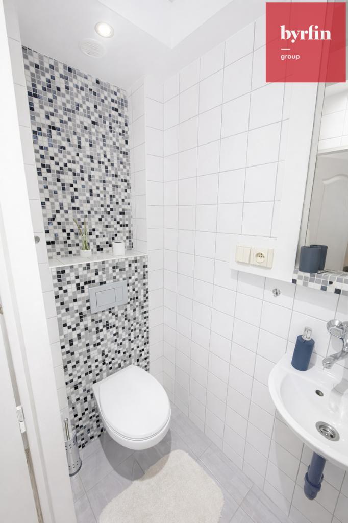 Pronájem bytu 1+1 45 m2