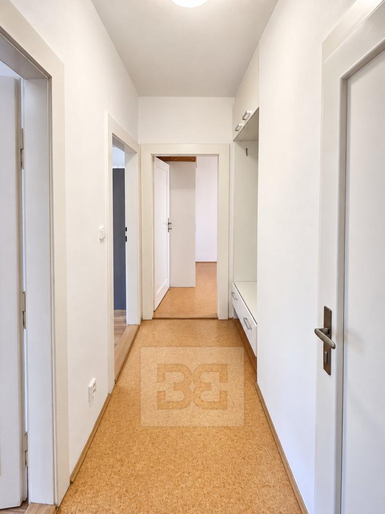 Pronájem bytu 4+kk 99 m2, Praha – náhled fotky 8