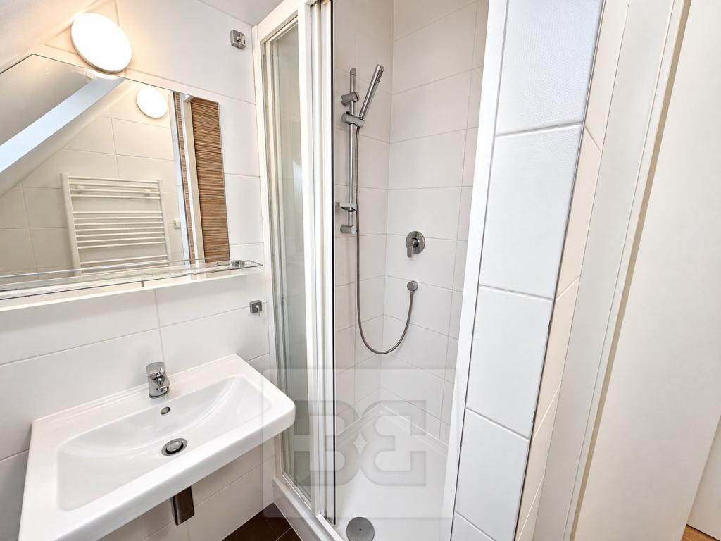 Pronájem bytu 4+kk 99 m2, Praha – náhled fotky 19
