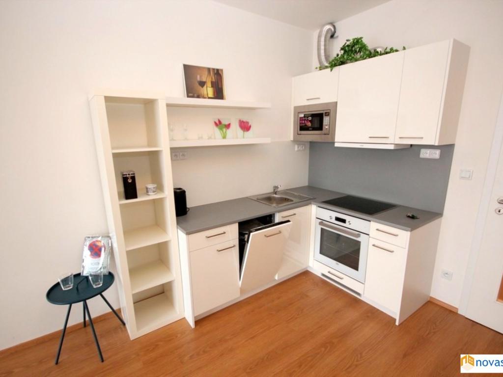 Pronájem bytu 1+kk 43 m2