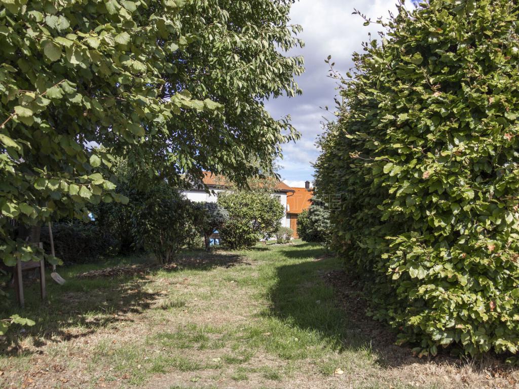 Pronájem domu 132 m2, Černošín – náhled fotky 18