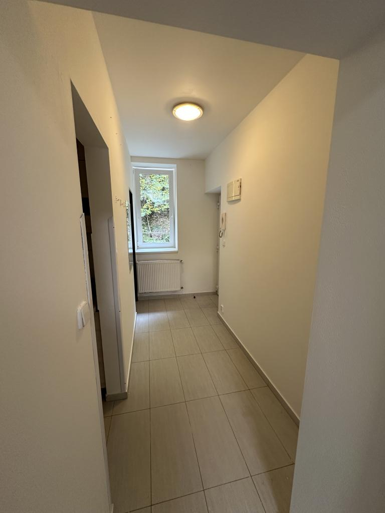 Pronájem bytu 1+1 30 m2