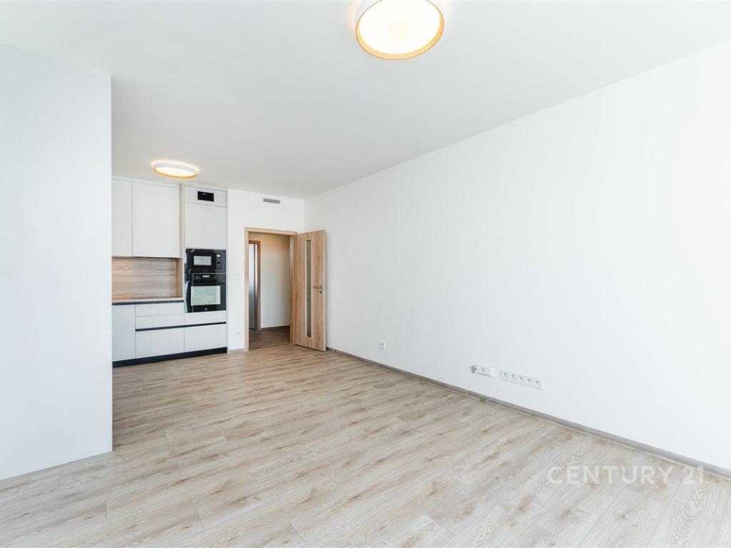 Pronájem bytu 3+kk 66 m2
