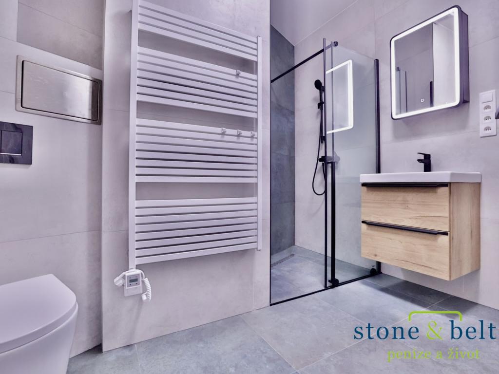 Pronájem bytu 1+1 47 m2