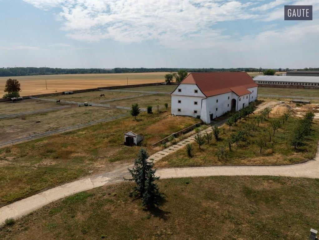 Prodej domu 5889 m2, Vlasatice – náhled fotky 10