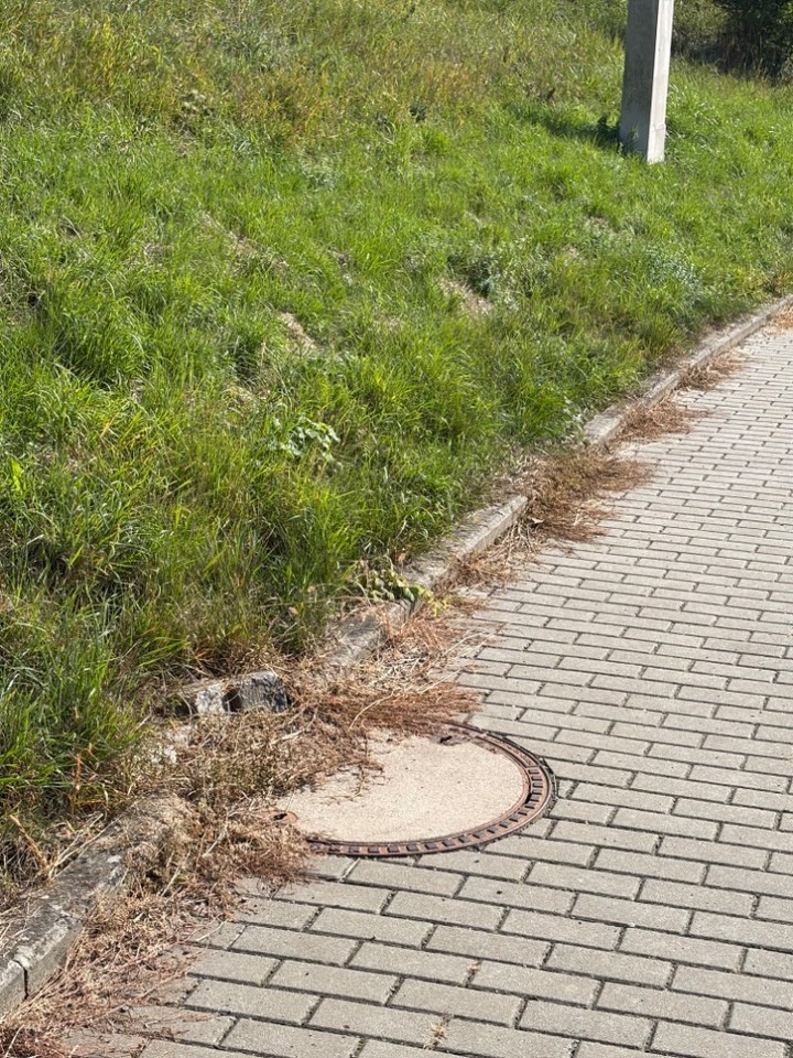 Prodej pozemku 5439 m2, Pozlovice – náhled fotky 35