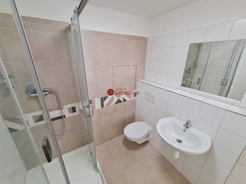 Pronájem bytu 2+1 59 m2, Teplice – náhled fotky 10
