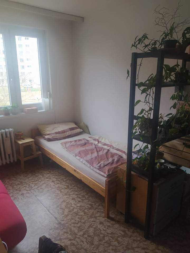 Spolubydleni bytu celý pokoj 86 m2