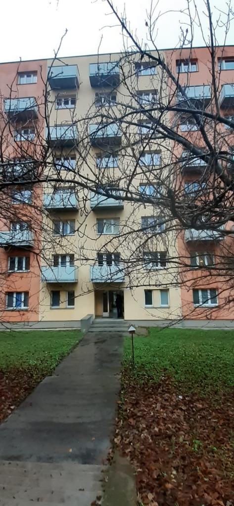 Pronajem bytu 2+1 54 m2
