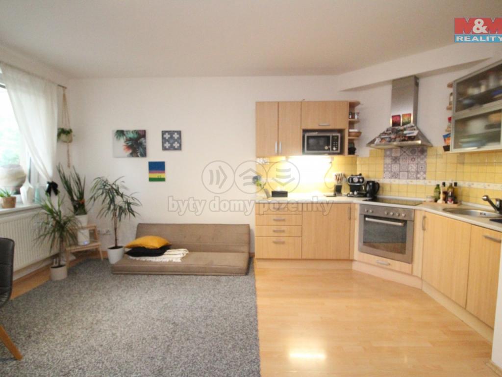 Pronajem bytu 2+kk 50 m2