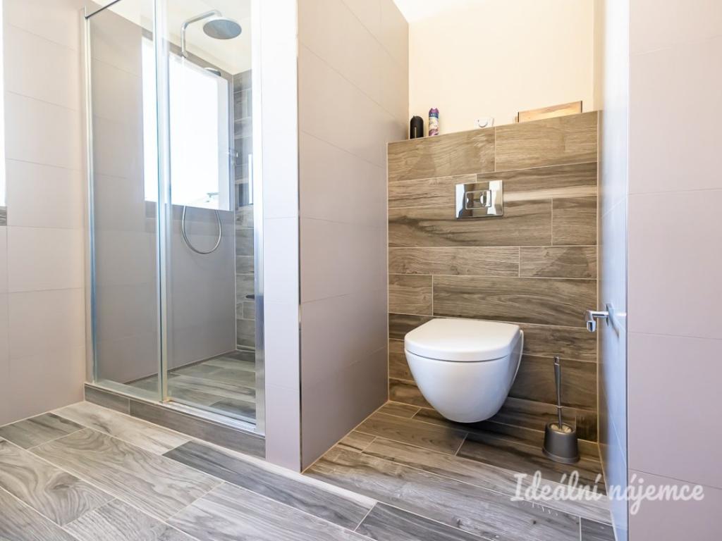 Pronájem bytu 3+kk 55 m2