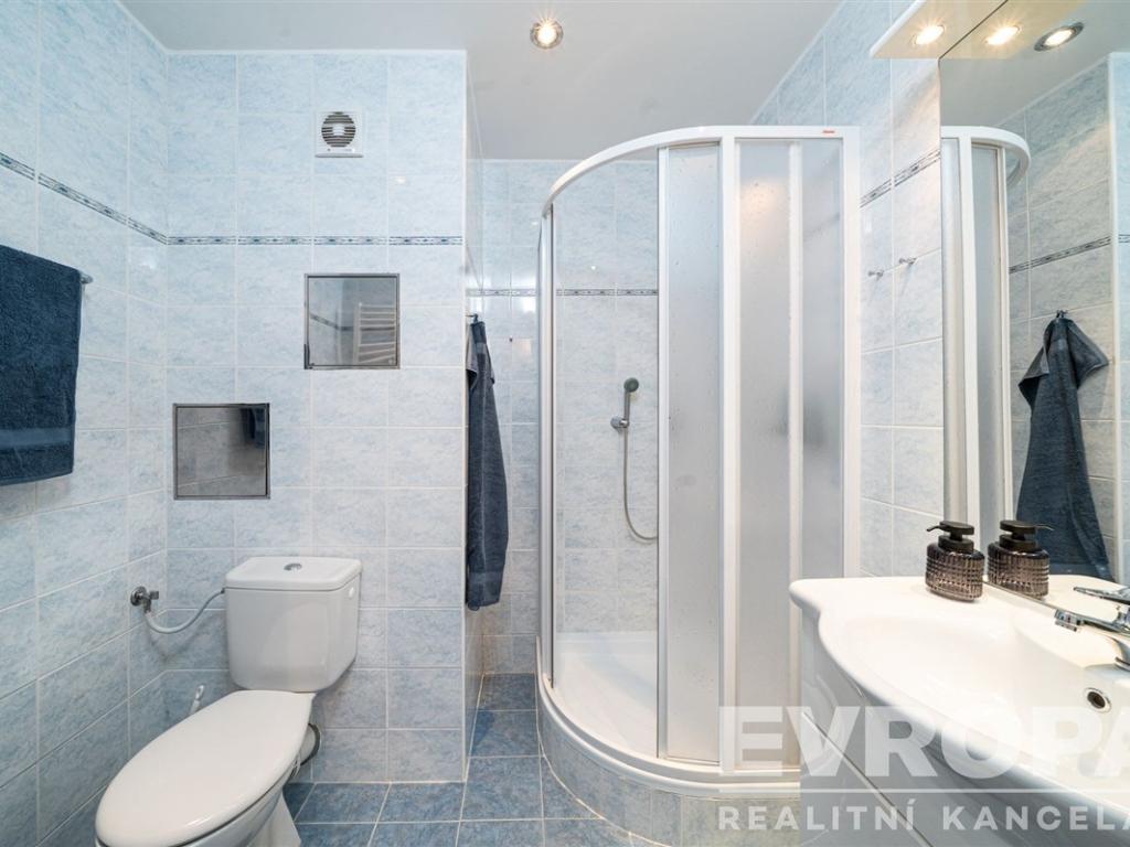 Pronájem bytu 1+1 47 m2