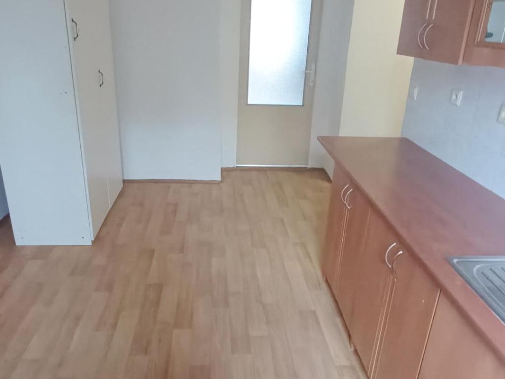 Pronájem bytu 1+1 44 m2