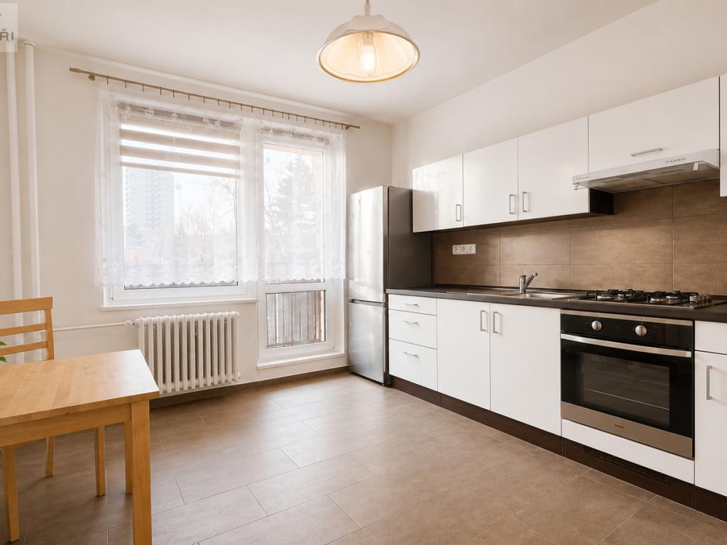 Pronájem bytu 1+1 45 m2