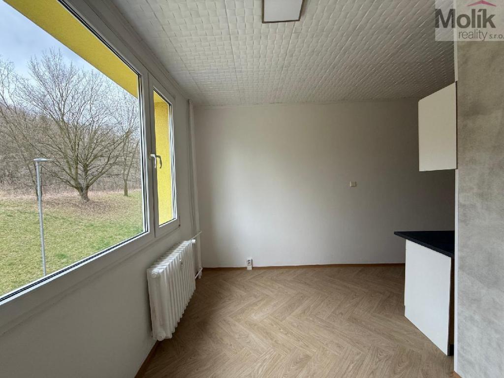 Pronájem bytu 2+1 62 m2