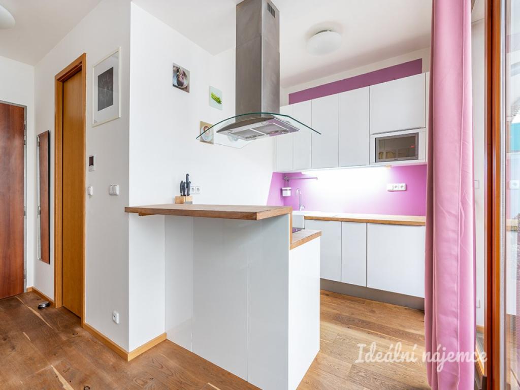 Pronájem bytu 1+kk 47 m2