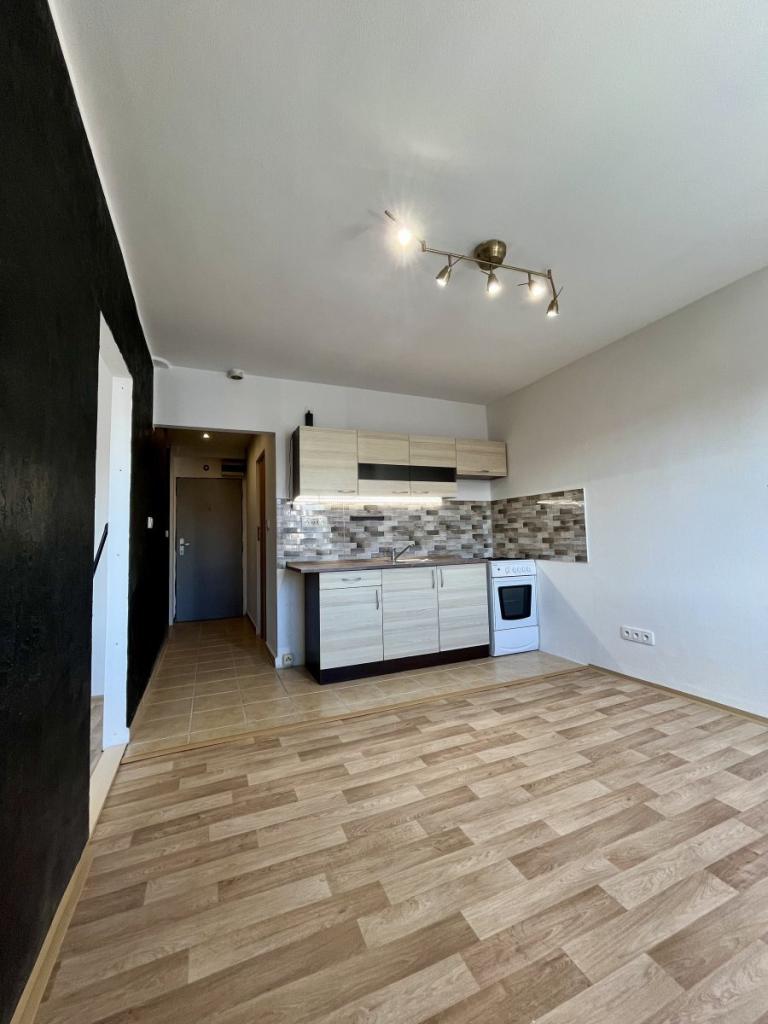 Pronájem bytu 1+1 31 m2
