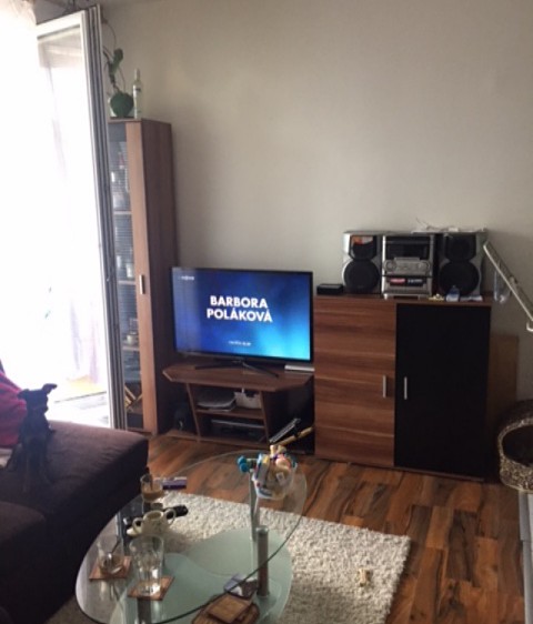 Pronajem bytu 2+kk 48 m2