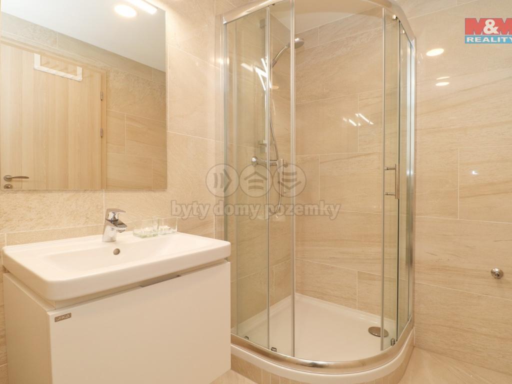 Pronajem bytu 1+kk 34 m2