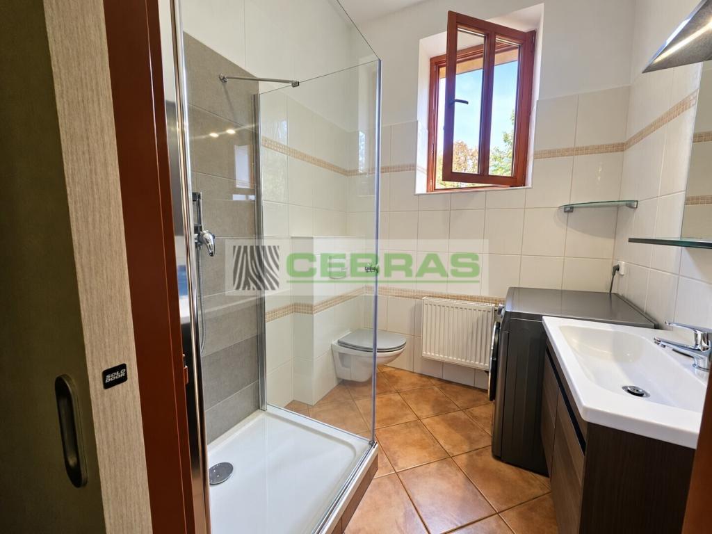 Pronájem bytu 2+1 78 m2