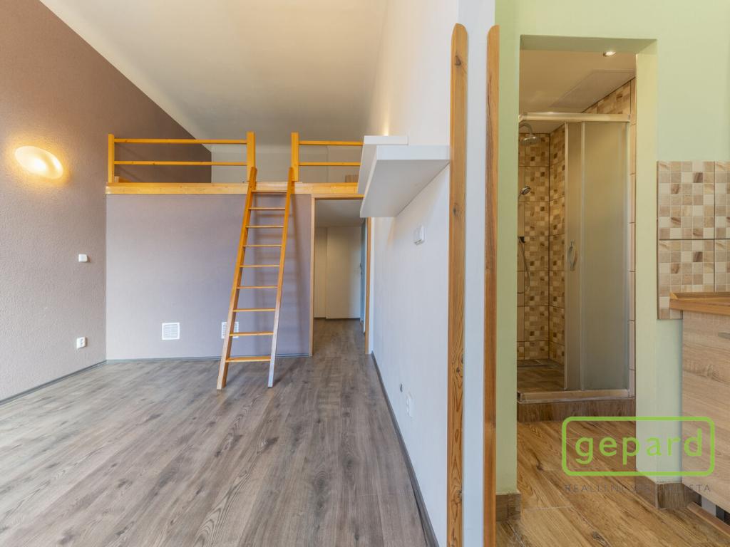 Pronájem bytu 1+kk 35 m2