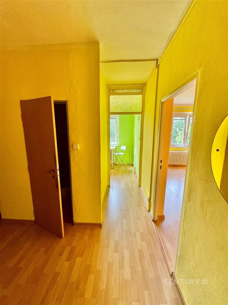 Pronájem bytu 1+1 40 m2