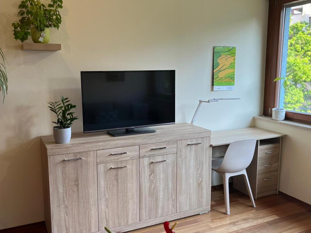 Pronajem bytu 1+kk 2 m2
