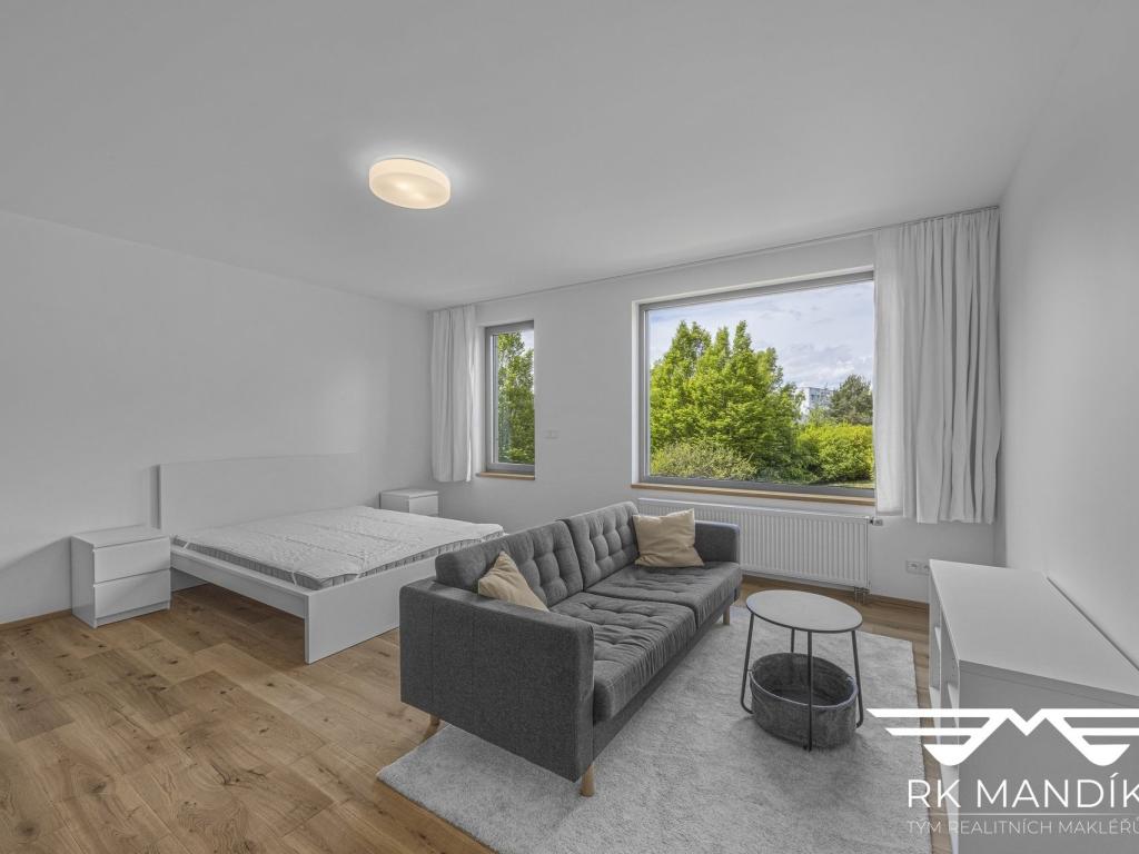 Pronájem bytu 1+kk 45 m2