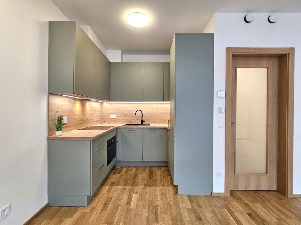 Pronájem bytu 1+kk 53 m2