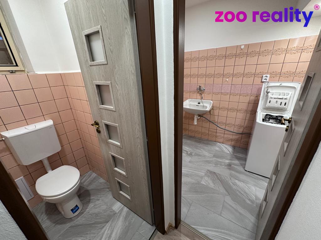 Pronájem bytu 1+kk 43 m2