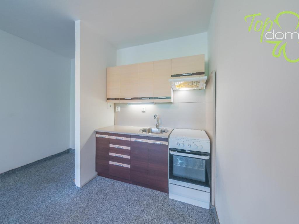 Pronájem bytu 1+kk 30 m2