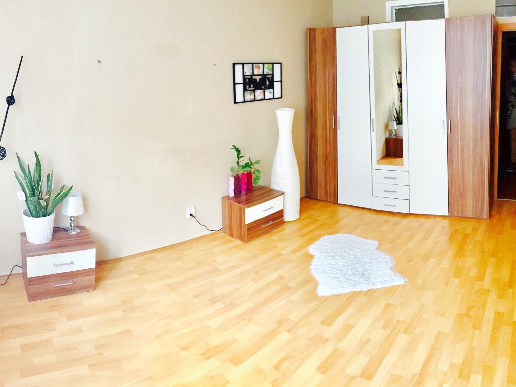 Pronajem bytu 2+1 55 m2