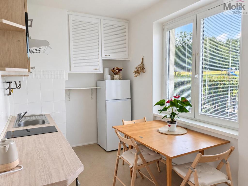 Pronájem bytu 2+1 49 m2