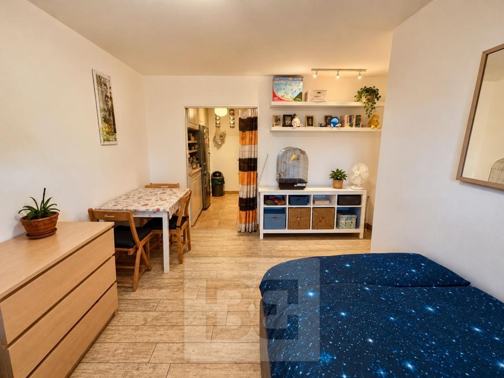 2+kk Apartment in Praha - View 4