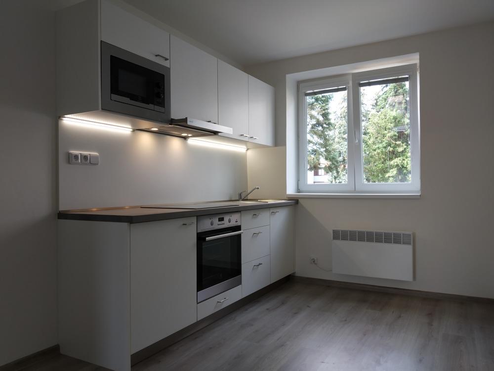 Pronajem bytu 2+1 63 m2