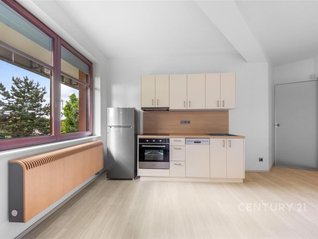 Pronájem bytu 2+kk 54 m2