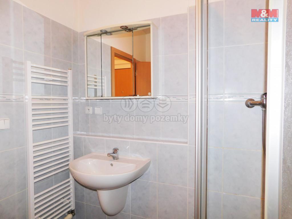 Pronajem bytu 1+kk 33 m2