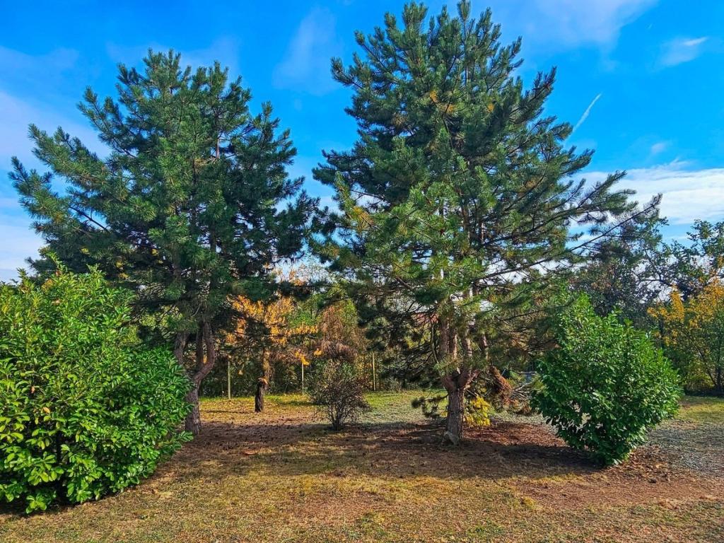 Prodej domu 54 m2, Nový Šaldorf-Sedlešovice – náhled fotky 9