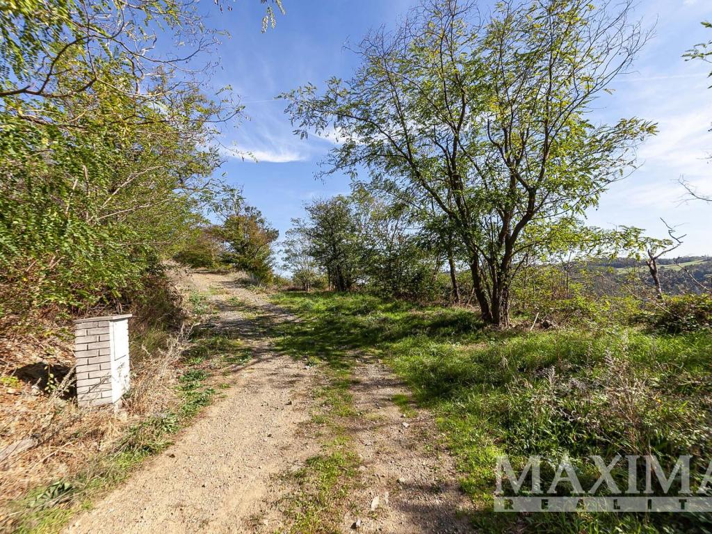Prodej pozemku 7462 m2, Solenice – náhled fotky 18