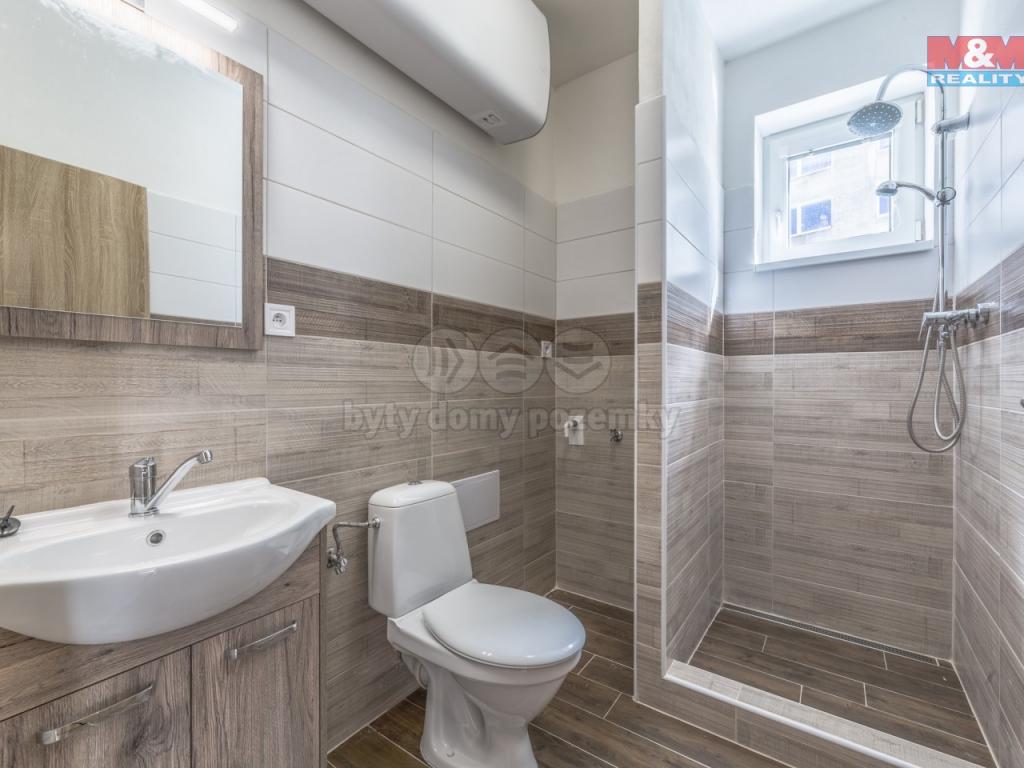 Pronajem bytu 3+kk 47 m2
