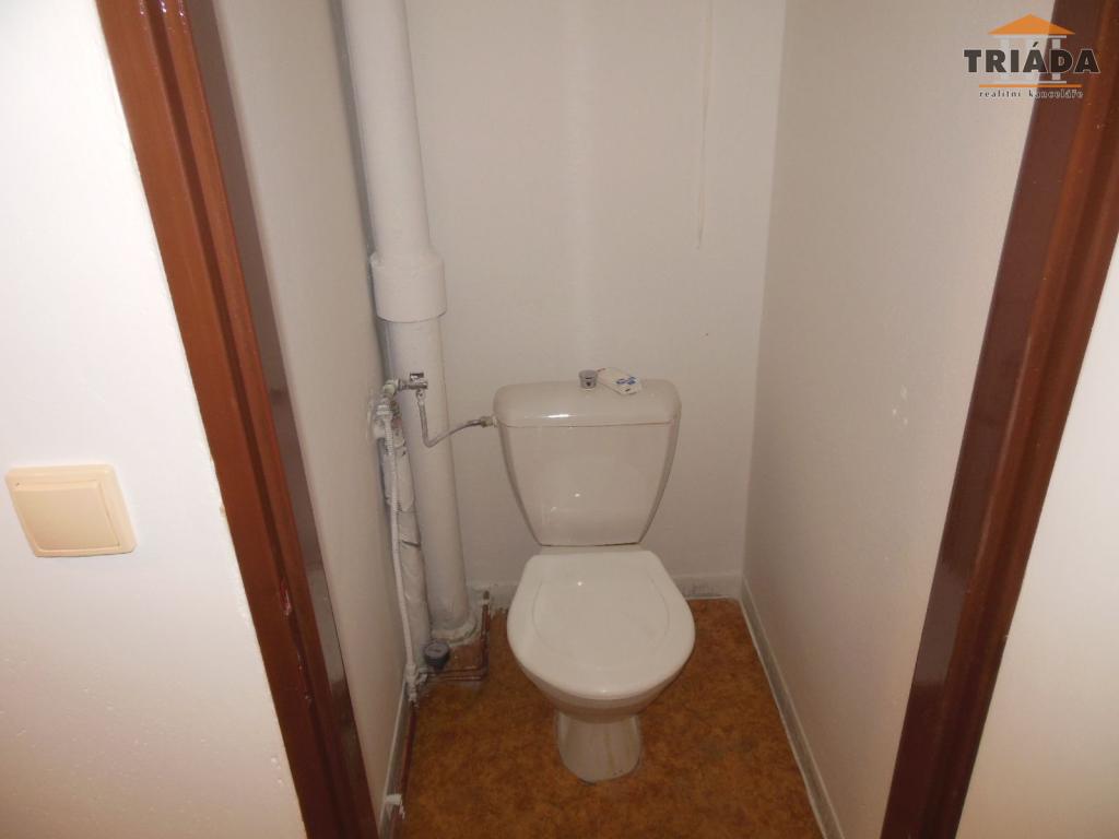 Pronájem bytu 3+kk 60 m2, Mříčná – náhled fotky 8