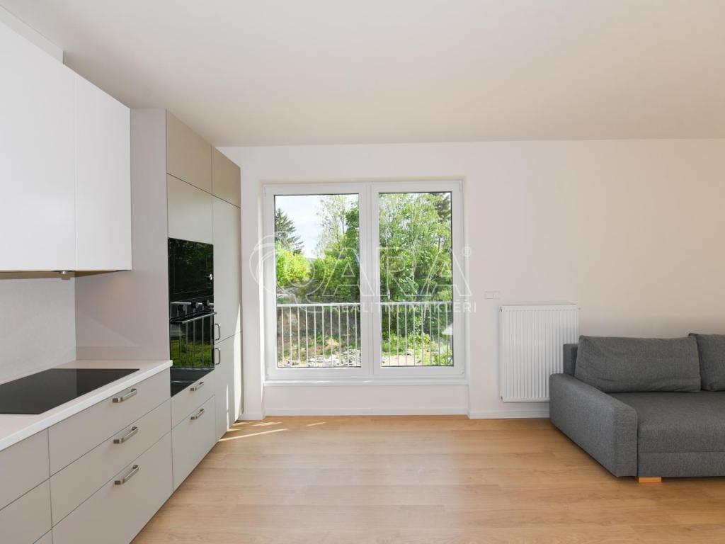 Pronájem bytu 3+kk 65 m2