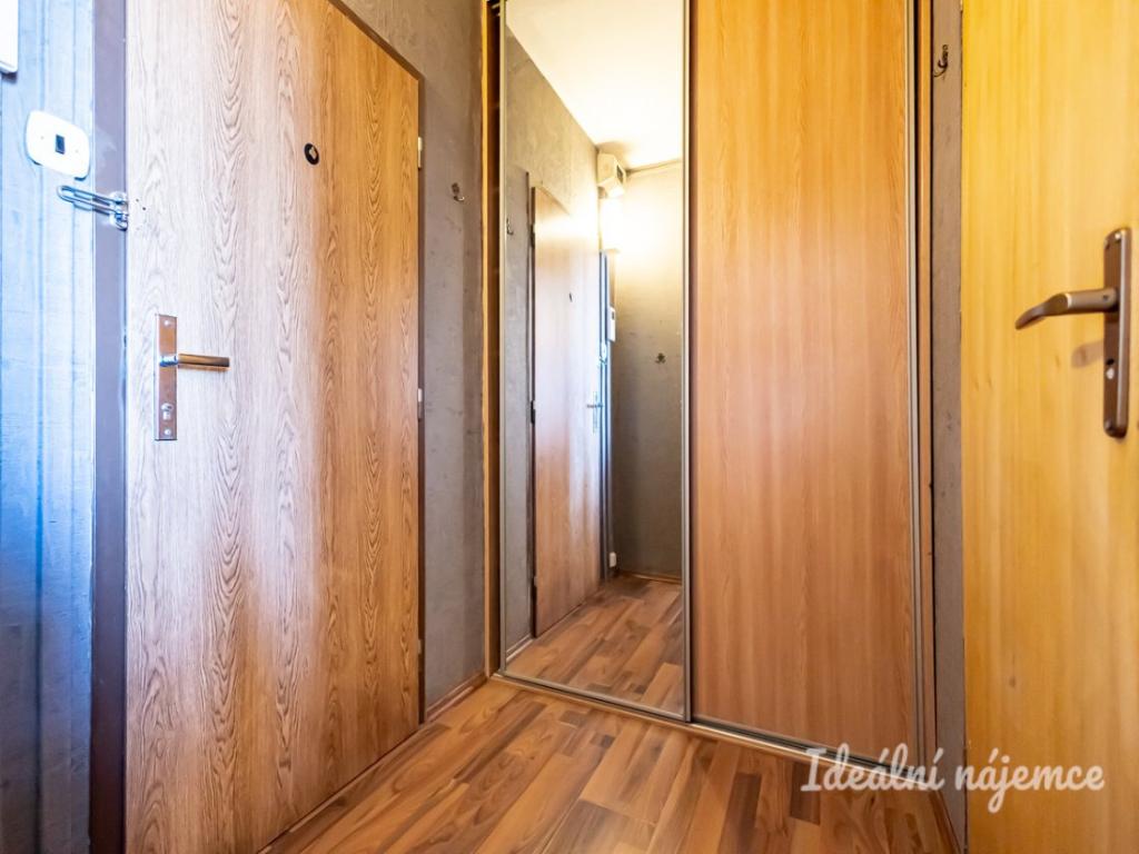 Pronájem bytu 1+1 30 m2